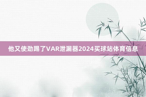 他又使劲踢了VAR泄漏器2024买球站体育信息