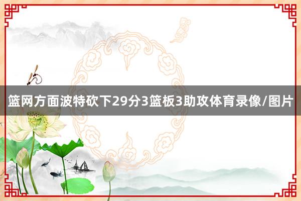 篮网方面波特砍下29分3篮板3助攻体育录像/图片