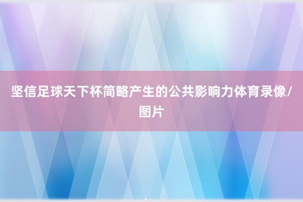 坚信足球天下杯简略产生的公共影响力体育录像/图片