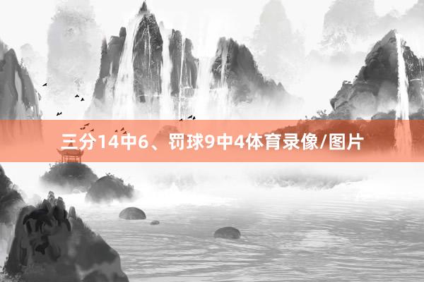 三分14中6、罚球9中4体育录像/图片